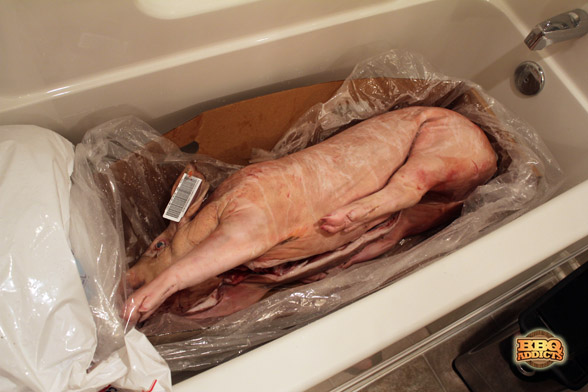 La Caja China - Thawing Pig