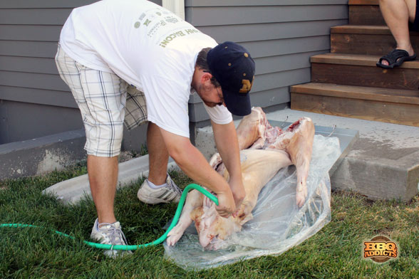 La Caja China - Washing Pig